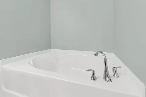 Bath - 206 Oglethorpe Cir, Moncks Corner, SC 29461 photo 4 of 5