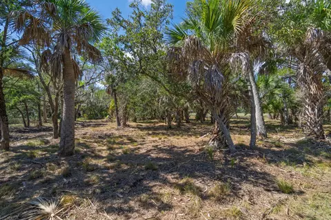 35 Hammocks Way, Edisto Island, SC 29438