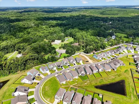 View/Area - 738 Opal Wing St, Moncks Corner, SC 29461 photo 13 of 13
