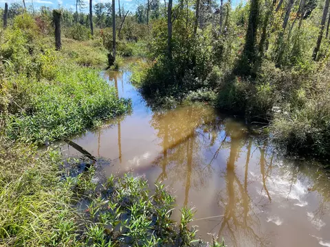 00 Todd Creek Rd And Wisp Rd, Neeses, SC 29107