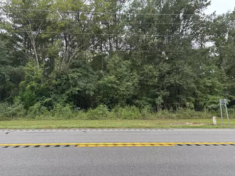0 Highway Sc-6, Elloree, SC 29047 photo 2