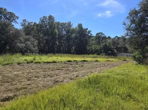 487 Rectory Hill Rd, Moncks Corner, SC 29461 photo 2