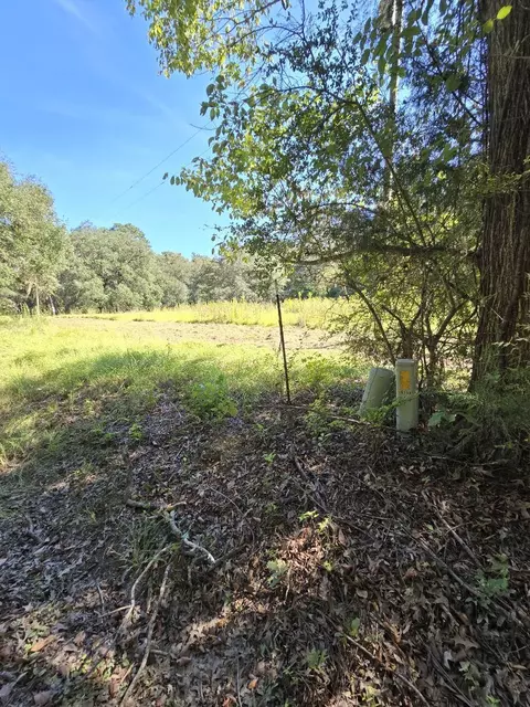 487 Rectory Hill Rd, Moncks Corner, SC 29461 photo 4