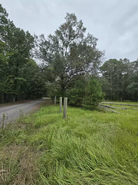 497 Rectory Hill Rd, Moncks Corner, SC 29461 photo 5