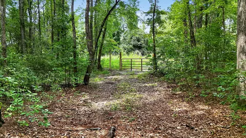 0000 Hamilton Rd, Manning, SC 29102 photo 8