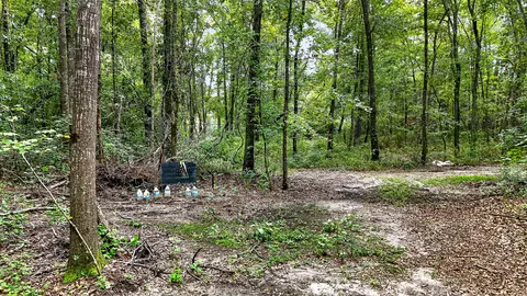 0000 Hamilton Rd, Manning, SC 29102 photo 10