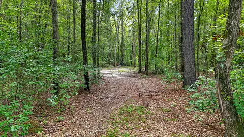 0000 Hamilton Rd, Manning, SC 29102 photo 9