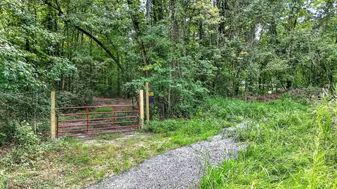 0000 Hamilton Rd, Manning, SC 29102 photo 6