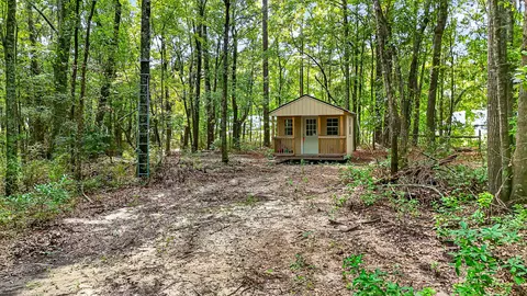 0000 Hamilton Rd, Manning, SC 29102 photo 11