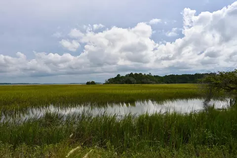 #18 Hopkins Place Drive #18, Edisto Island, SC 29438