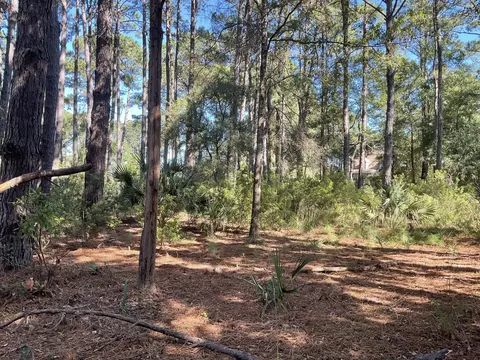 8366 Palmetto Rd, Edisto Island, SC 29438