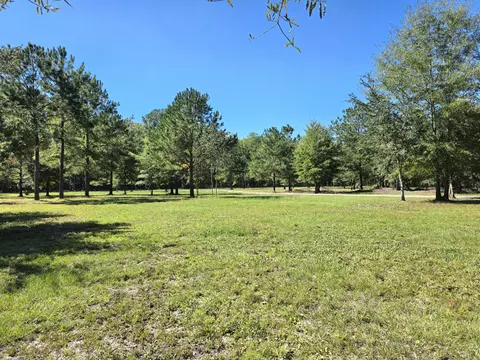 368 Whites Ave, Cottageville, SC 29435