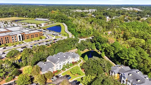 View/Area - 2217 Chatelain Way, Mount Pleasant, SC 29464 photo 1 of 5