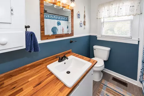 Bath - 1471 Clearview Dr, Manning, SC 29102 photo 3 of 3