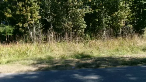 lot5 Manor Rd, Hollywood, SC 29449