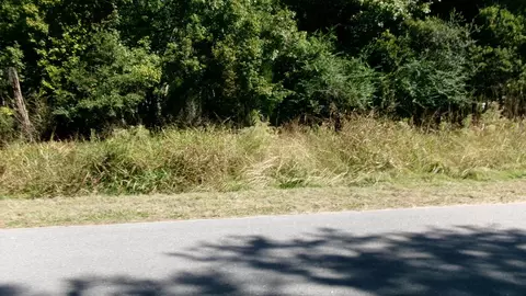 lot4 Manor Rd, Hollywood, SC 29449