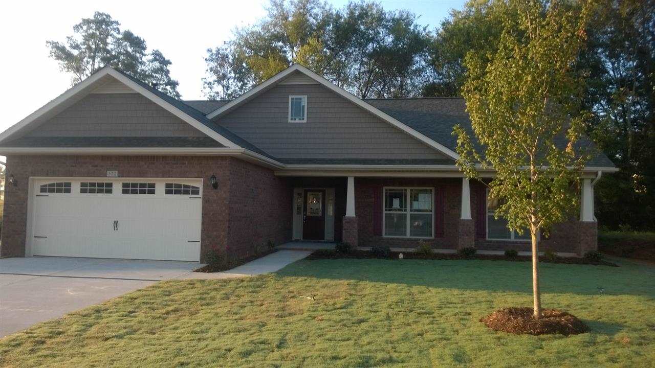 522 E Heatherstone Ln, Roebuck, SC 29376 photo 1