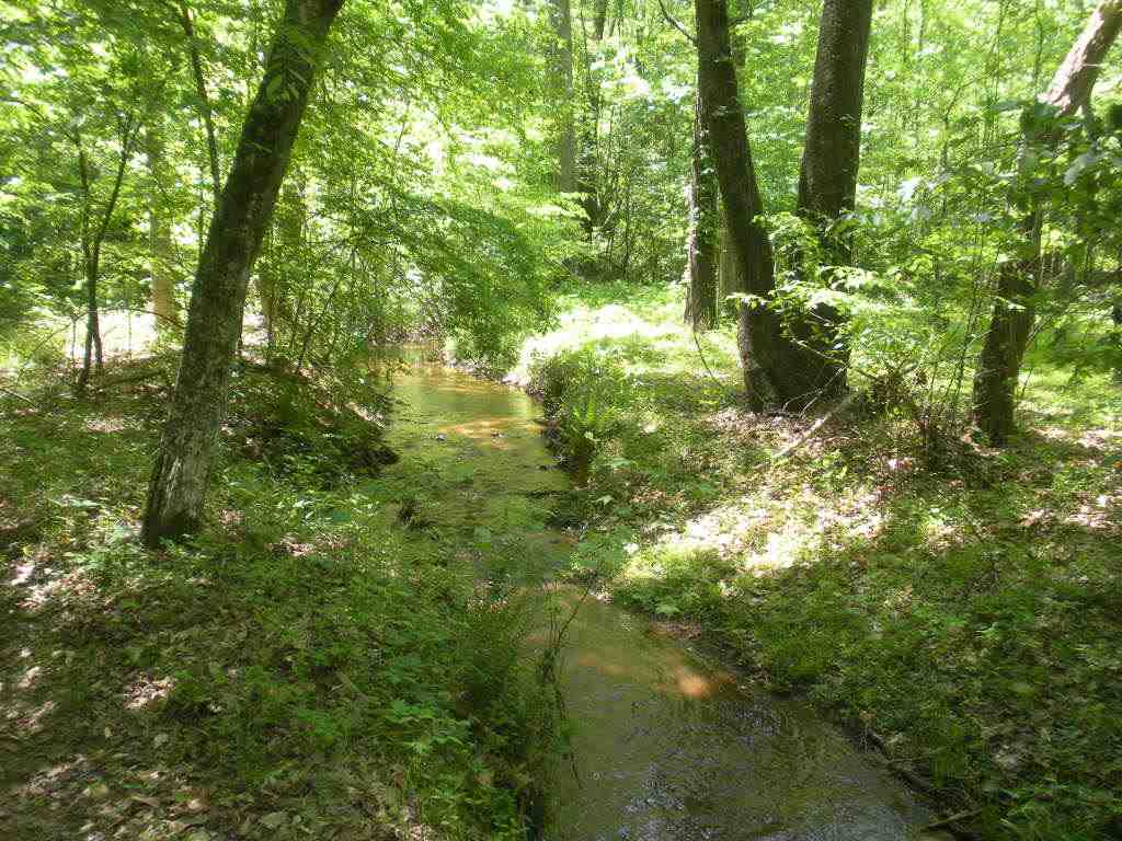 140 Crest Rd, Campobello, SC 29322 photo 17