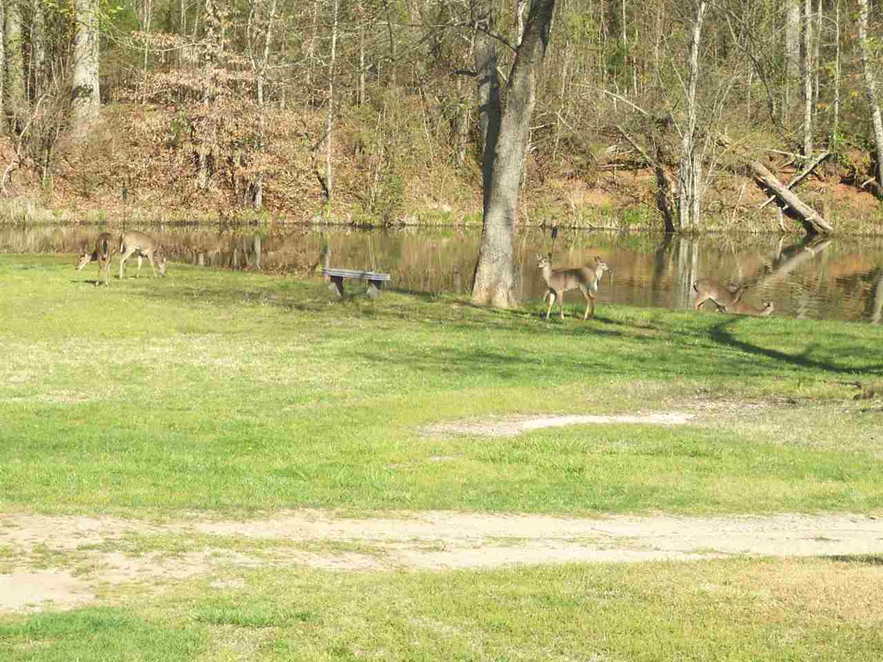 140 Crest Rd, Campobello, SC 29322 photo 14