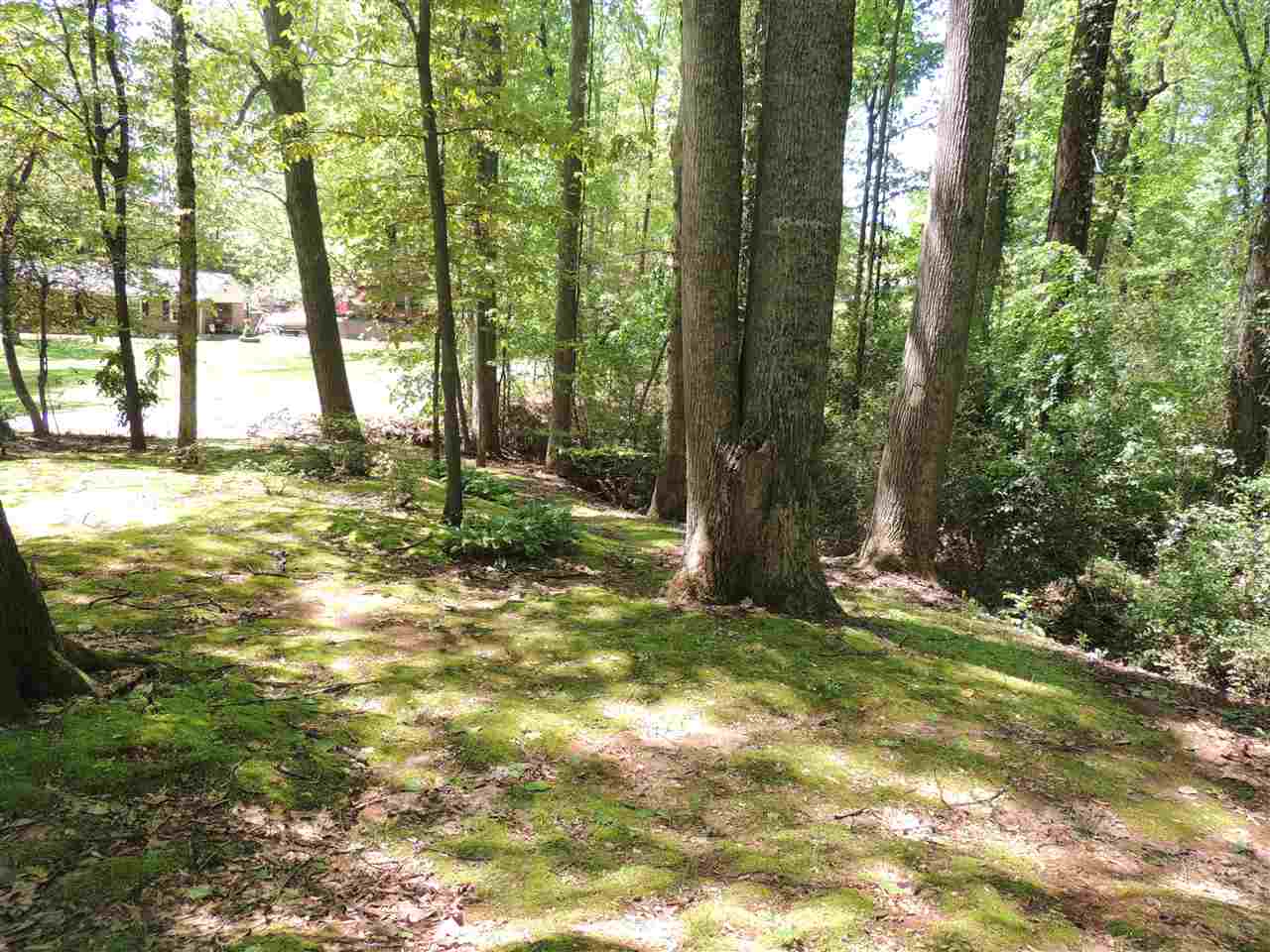 144 Brookview Dr, Inman, SC 29349 photo 5