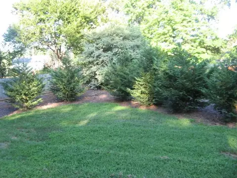 446 Litchfield Dr, Moore, SC 29369 photo 22