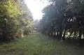 8100 Cross Anchor Rd, Enoree, SC 29335 photo 5