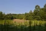 8100 Cross Anchor Rd, Enoree, SC 29335 photo 1