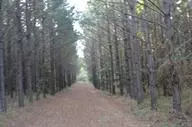 8100 Cross Anchor Rd, Enoree, SC 29335 photo 3