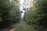 8100 Cross Anchor Rd, Enoree, SC 29335 photo 10