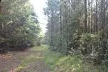 8100 Cross Anchor Rd, Enoree, SC 29335 photo 6