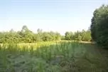 8100 Cross Anchor Rd, Enoree, SC 29335 photo 2