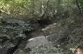 8100 Cross Anchor Rd, Enoree, SC 29335 photo 4