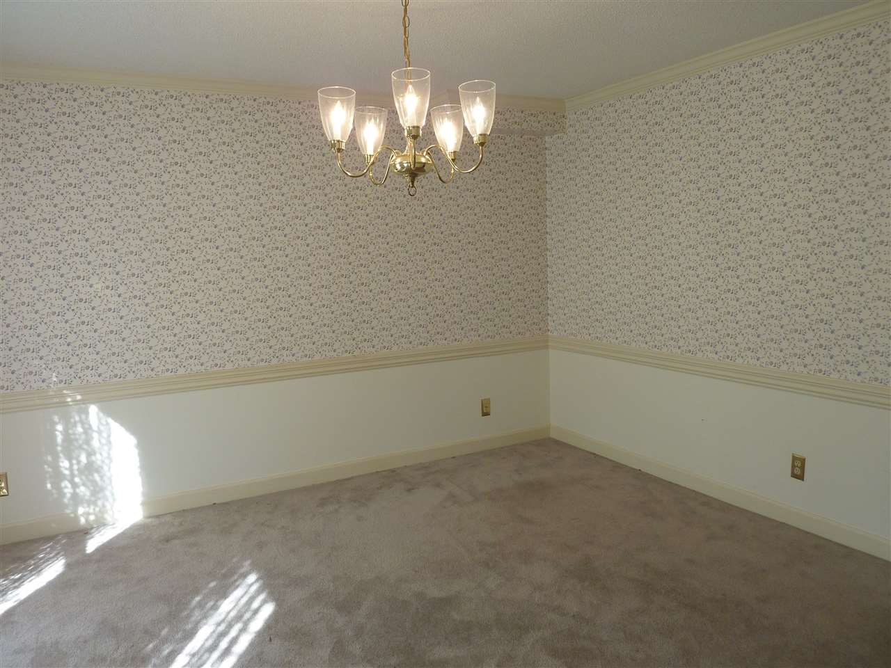 337 E Killarney Lk, Moore, SC 29369 photo 16