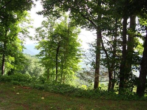 Undisclosed, Tryon, NC 28782 photo 18