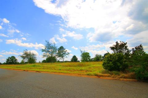 408 Bradburn Fields Ct, Inman, SC 29349 photo 6