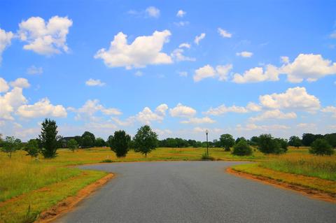 412 Bradburn Fields Ct, Inman, SC 29349 photo 7