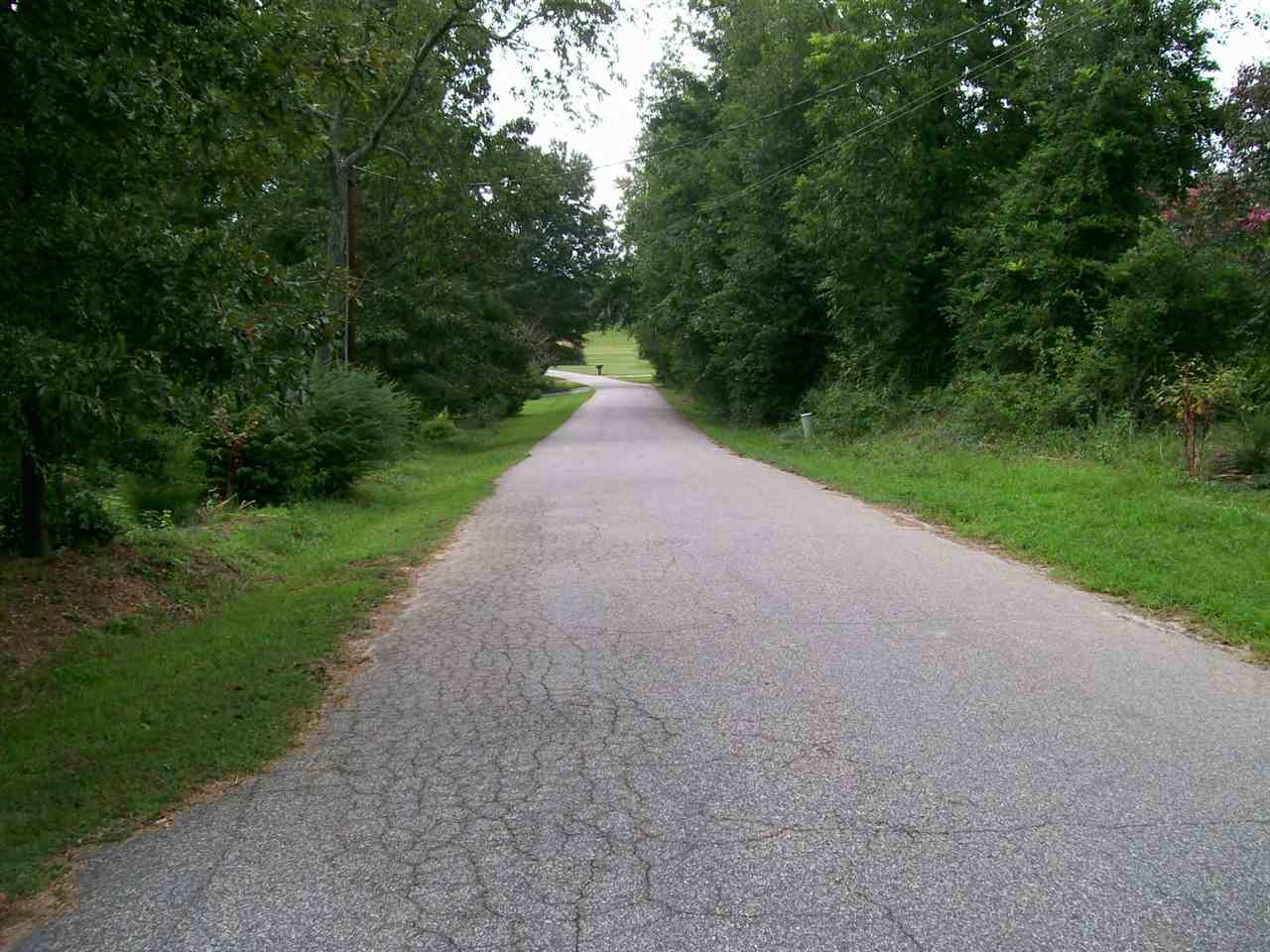 485 Babb Rd, Campobello, SC 29322 photo 6