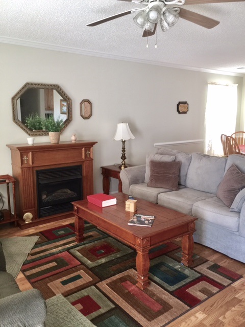 325 Split Oak Ln, Inman, SC 29349 photo 3