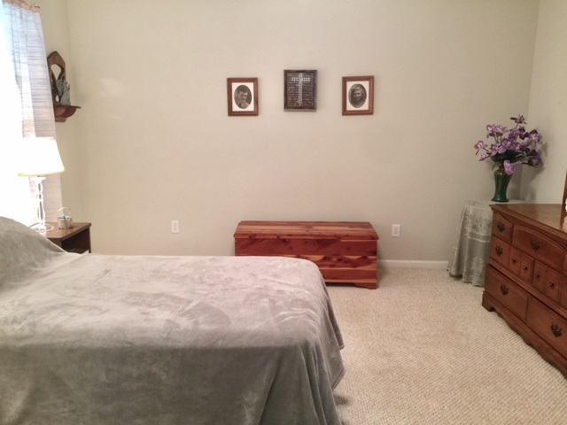 325 Split Oak Ln, Inman, SC 29349 photo 15