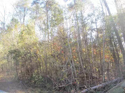 112 Shadow Ln, Lyman, SC 29365 photo 5