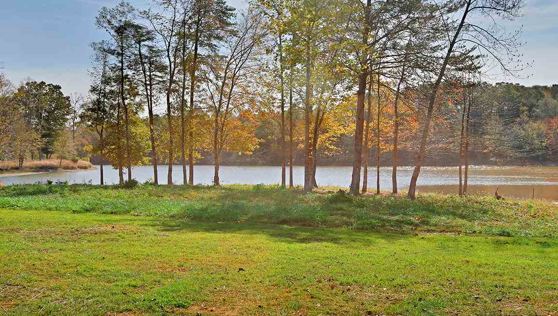 118 Willowbottom Dr, Greer, SC 29651 photo 5