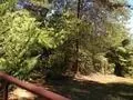 360 Fall Rd, Chesnee, SC 29323 photo 4