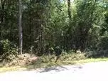 360 Fall Rd, Chesnee, SC 29323 photo 10