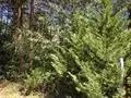 360 Fall Rd, Chesnee, SC 29323 photo 5