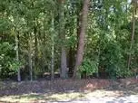 360 Fall Rd, Chesnee, SC 29323 photo 20