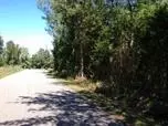 360 Fall Rd, Chesnee, SC 29323 photo 11