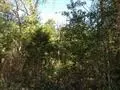 360 Fall Rd, Chesnee, SC 29323 photo 19