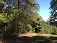 360 Fall Rd, Chesnee, SC 29323 photo 3