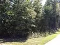 360 Fall Rd, Chesnee, SC 29323 photo 15