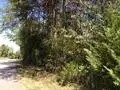 360 Fall Rd, Chesnee, SC 29323 photo 16